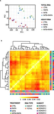 Genome-Wide Gene Expression Analysis of Mtb-Infected DC Highlights the Rapamycin-Driven Modulation of Regulatory Cytokines via the mTOR/GSK-3β Axis